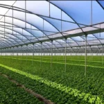 Greenhouse film for commercial farming