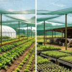 Agricultural shade net applications: greenhouse vegetable farm, seedling nursery and livestock shade housing