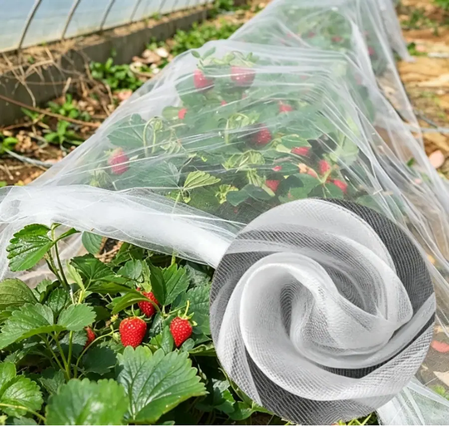 Protection Specified Around the Crop, Not Just the Product