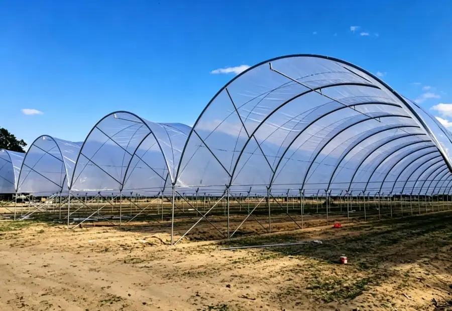Greenhouse Film Manufacturer for Commercial Agriculture