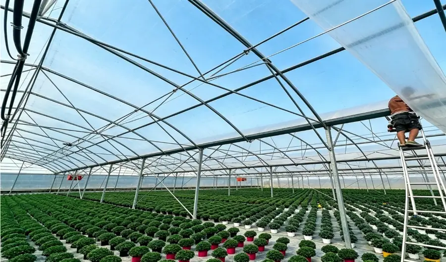 Greenhouse Film Manufacturing & Quality Control