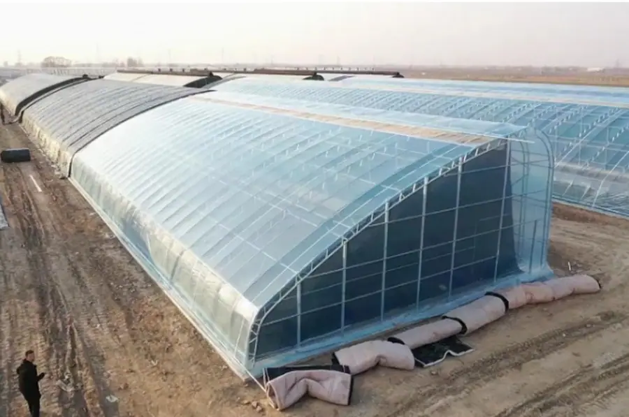 Greenhouse Farming