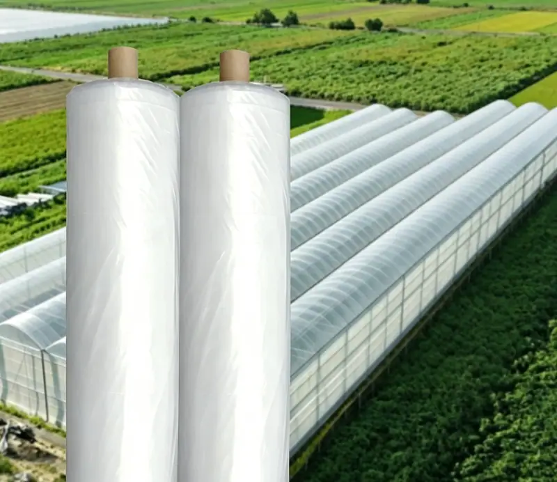 Greenhouse Film