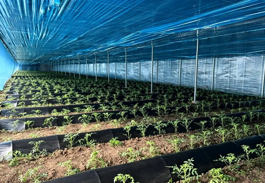 Integrated Greenhouse Protection Package