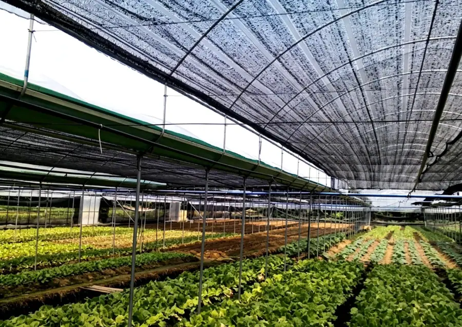 agricultural materials.