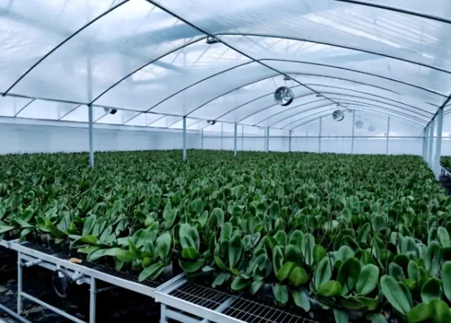 Crop Protection and Water Efficiency