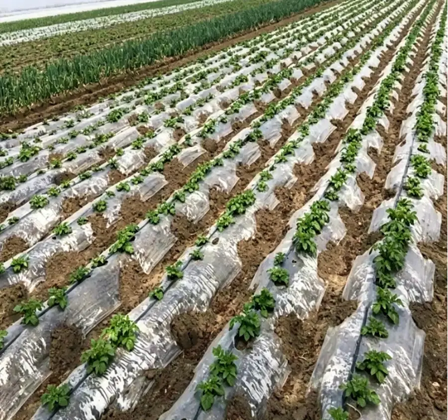 agricultural materials.