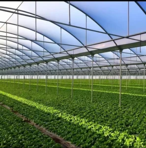 Greenhouse film for commercial farming