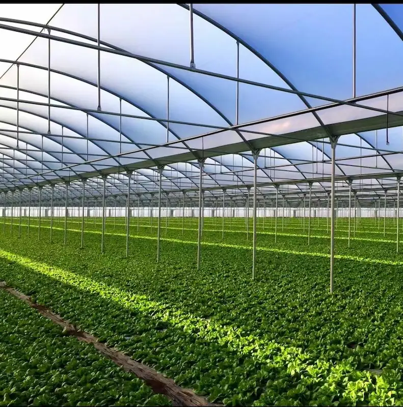 Greenhouse film for commercial farming